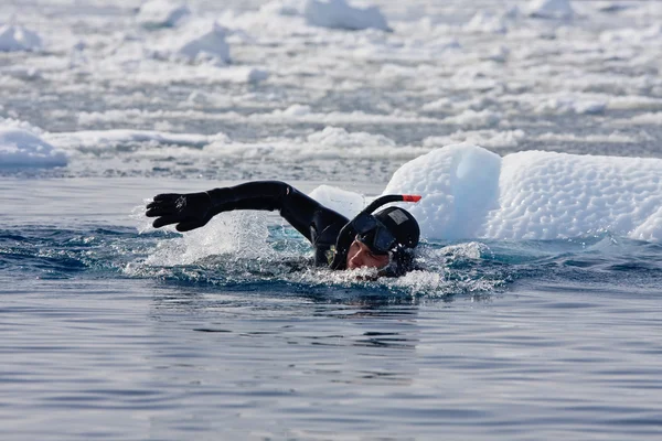 Diver among the ice — Stock Photo, Image