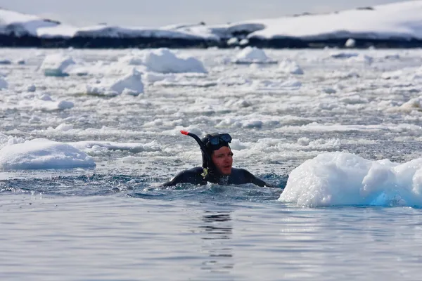 Buz yakınındaki dalgıç — Stok fotoğraf