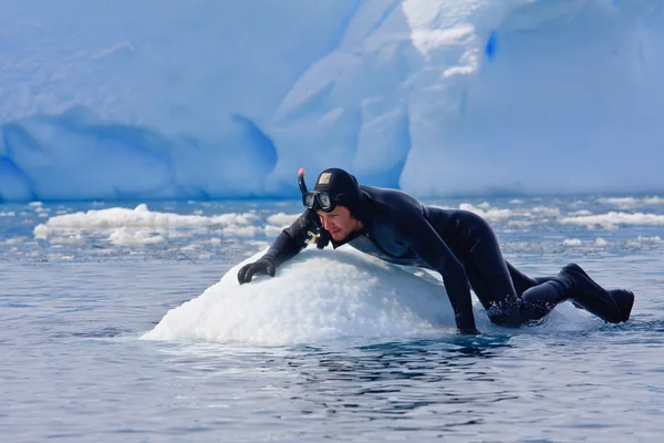 ダイバーは氷の上 — ストック写真