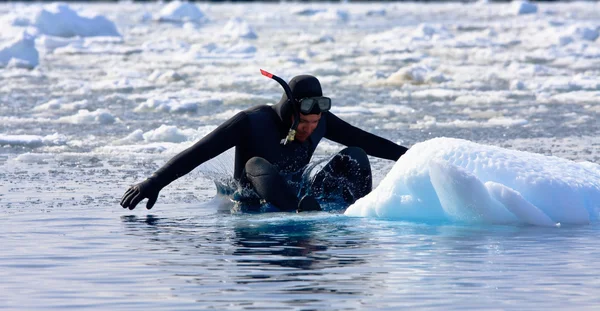 Plongeur sur la glace — Photo