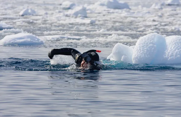 Mergulhador entre o gelo — Fotografia de Stock