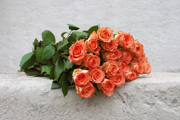Růže oranžové barvě — Stock fotografie
