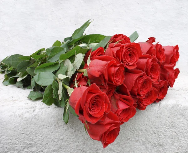 Rosen von roter Farbe — Stockfoto