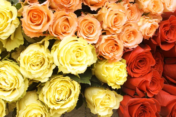 Μπουκέτο από πολύχρωμα τριαντάφυλλα — Φωτογραφία Αρχείου