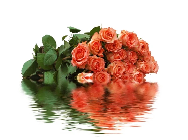 Τριαντάφυλλα πορτοκαλί χρώμα — Φωτογραφία Αρχείου