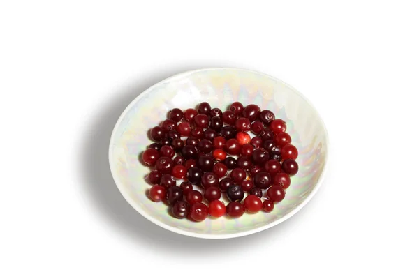 stock image Cranberry