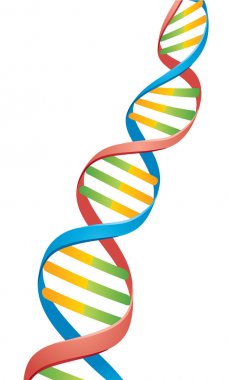 Double Helix Dna Strand clipart