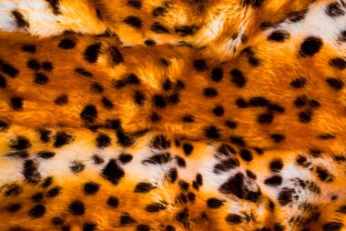 Leopard skin clipart