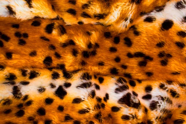 Leopard skin — Stock Photo, Image