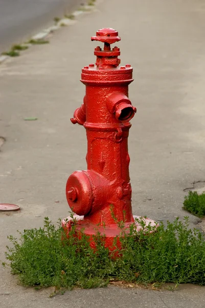 stock image Hydrant