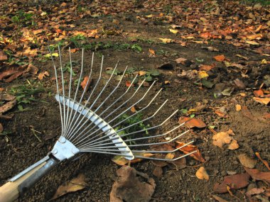 Rake in the orchard clipart