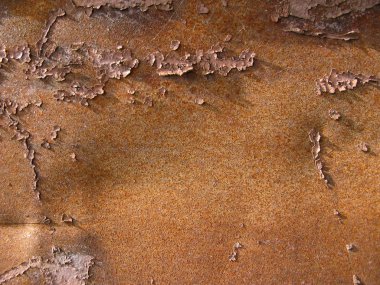 Rust texture clipart