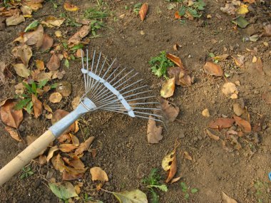 Rake in the orchard clipart