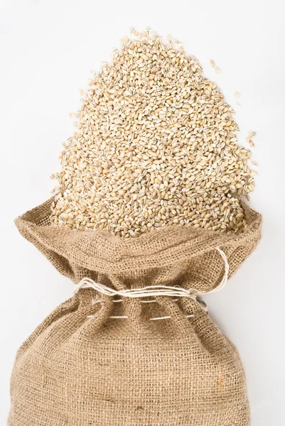 Pearl barley — Stock Photo, Image
