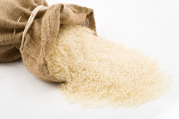 stock image Rice