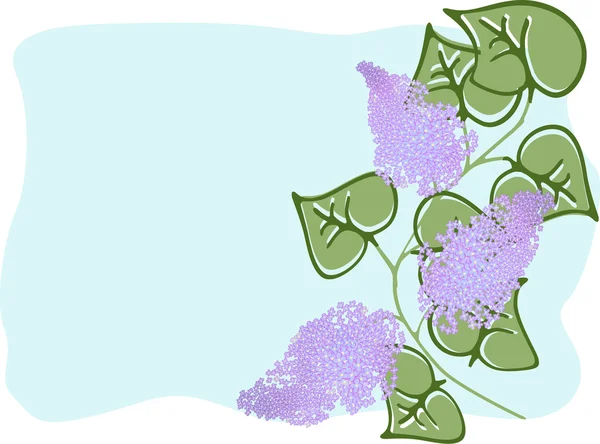 Branche de lilas — Image vectorielle