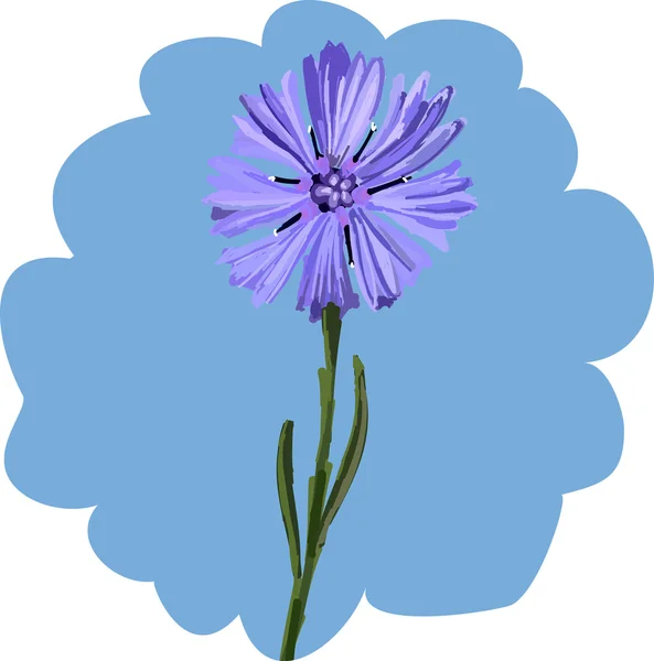 Bleuet — Image vectorielle