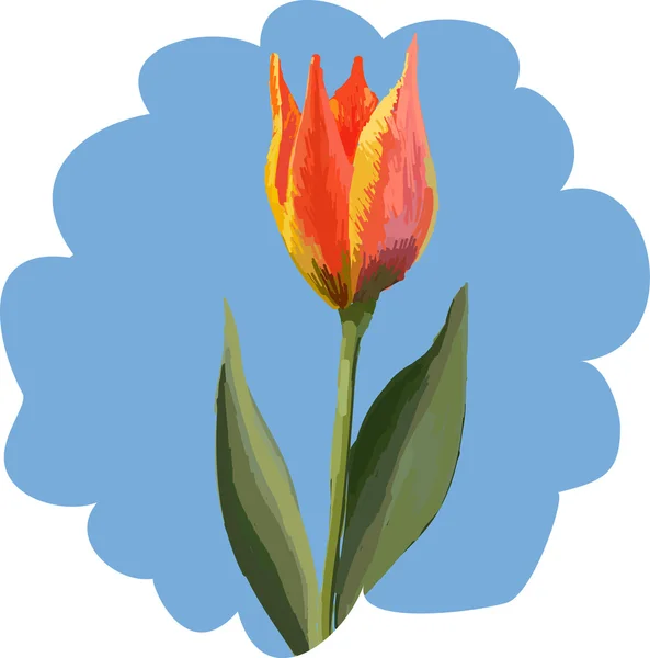 Тюльпаны — стоковый вектор