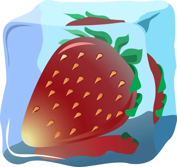 Fresh strawberry — Stock Vector