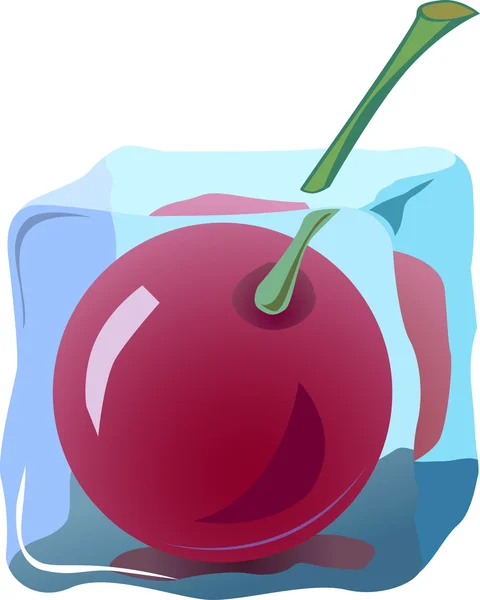 Fresh cherry — Stock Vector