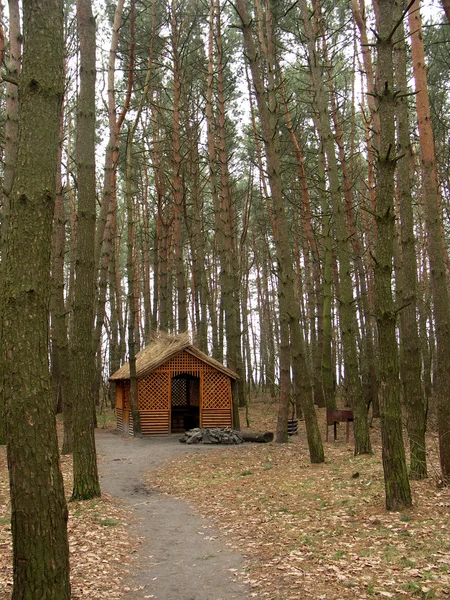 Domek w lesie — Zdjęcie stockowe