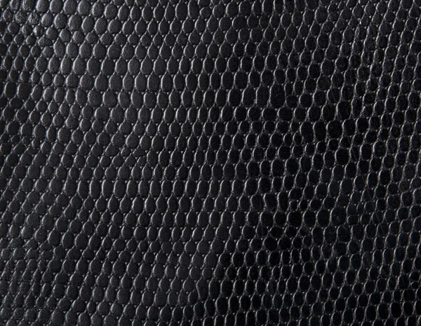 Pele de cobra Fotografia De Stock