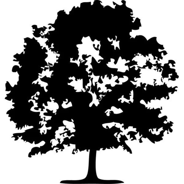 Trees.Vector obrázek Stock Ilustrace