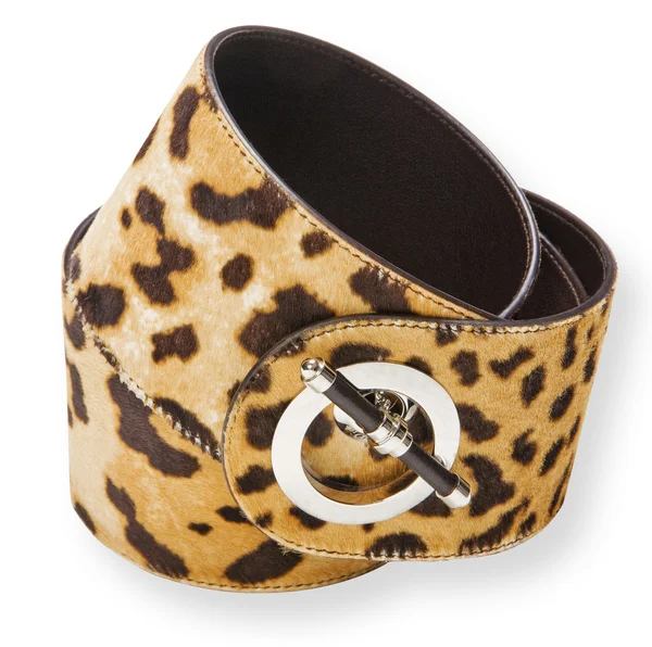Cintura di leopardo — Foto Stock