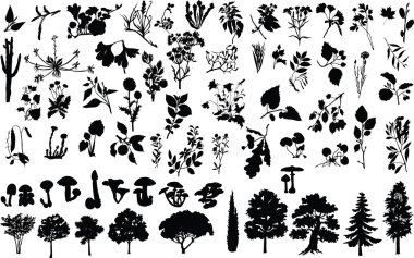 Herbs clipart