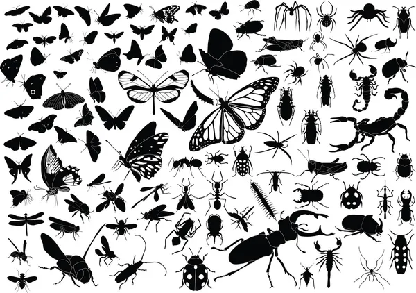 100 insekter — Stock vektor