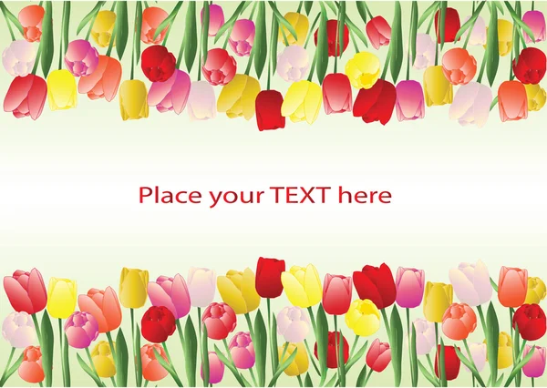 Cadre tulipes — Image vectorielle
