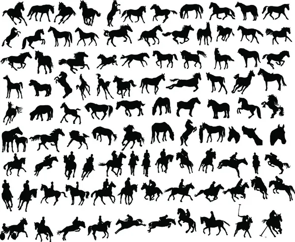 100 chevaux — Image vectorielle