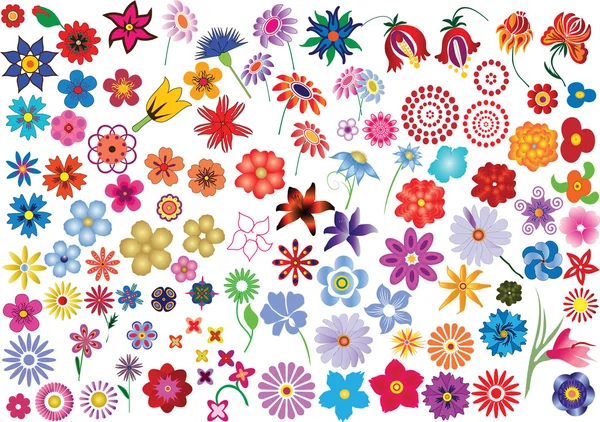 Conjunto de flores — Archivo Imágenes Vectoriales