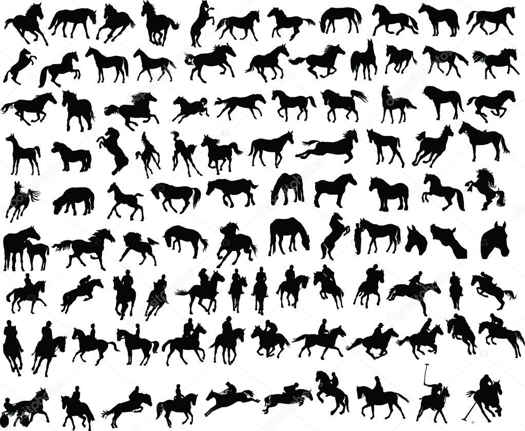100 horses
