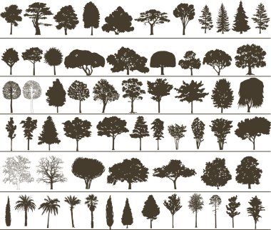 Vector trees clipart