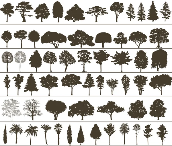 Vektorové stromy — Stockový vektor
