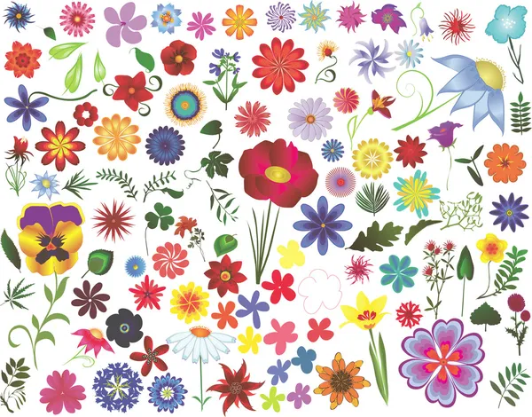 Elementos de design floral — Vetor de Stock