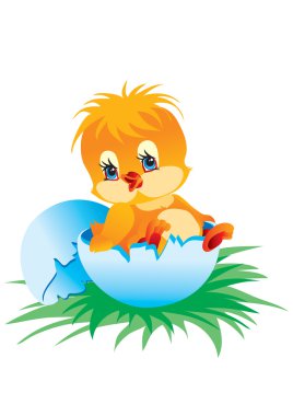 Newborn chicken clipart