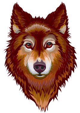 Portrait of the wolf clipart