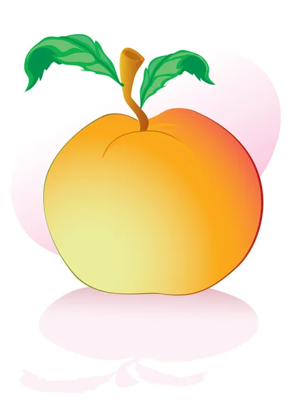 แอปเปิ้ล — ภาพเวกเตอร์สต็อก