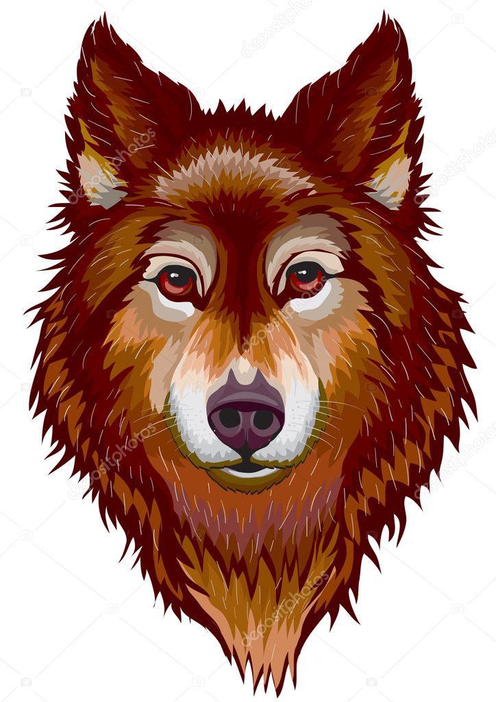 Portrait of the wolf