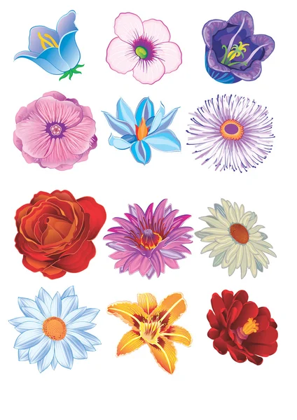 Blommor Vektorgrafik