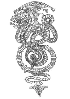 Snakes vector