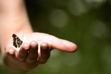 Butterfly in a hand clipart