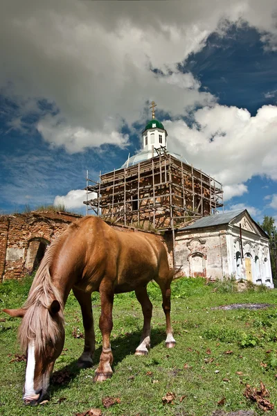 馬および古い教会 — ストック写真