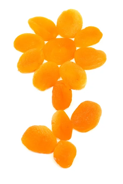 Apricots flower — Stock Photo, Image