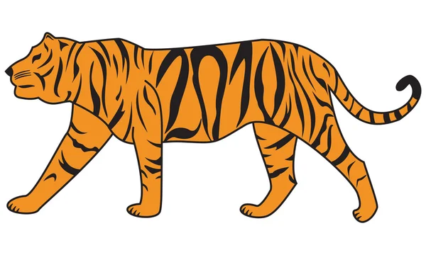 Tigre 2010 — Fotografia de Stock