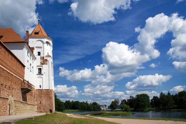 Пейзаж с башней замка — стоковое фото