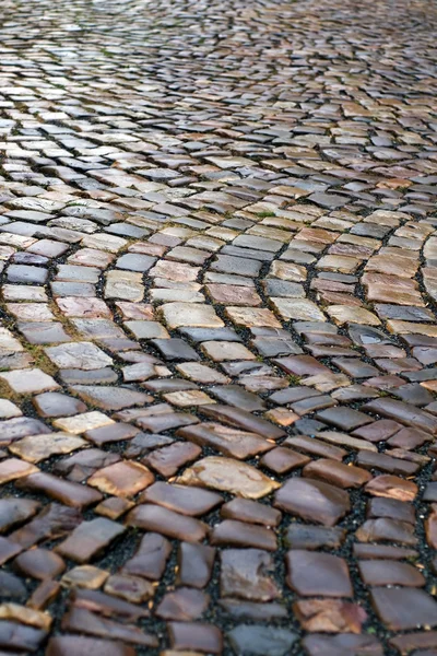 Wet paving stone — Stock Photo, Image