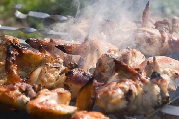 stock image Chicken shashlik macro